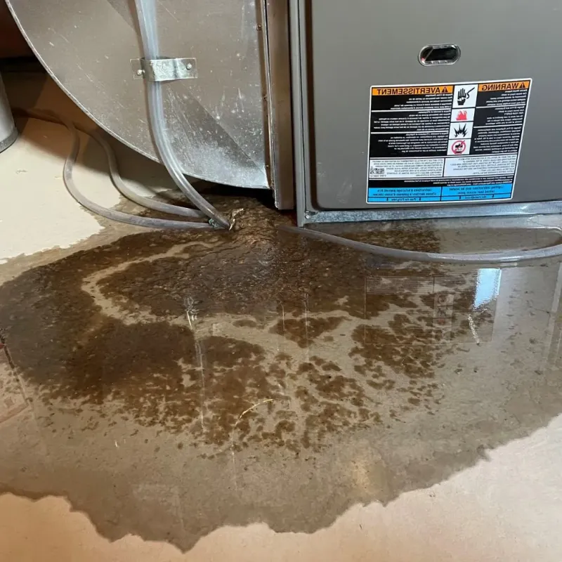 Pipe Burst and Leak Restoration in Perry County, OH