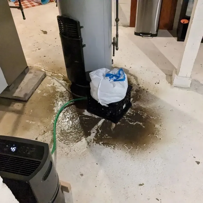 Sewage Backup Cleanup Service in Perry County, OH